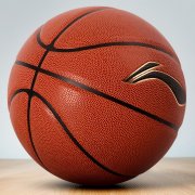 残特奥会轮椅篮球测试赛在广州举行 从停车场到赛场一路顺畅无障碍